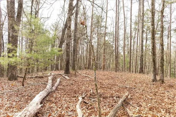 $980,000 | 0 Reagan Road, Dawsonville, GA 30534