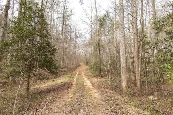 $980,000 | 0 Reagan Road, Dawsonville, GA 30534