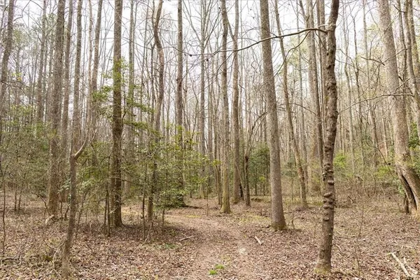 $980,000 | 0 Reagan Road, Dawsonville, GA 30534