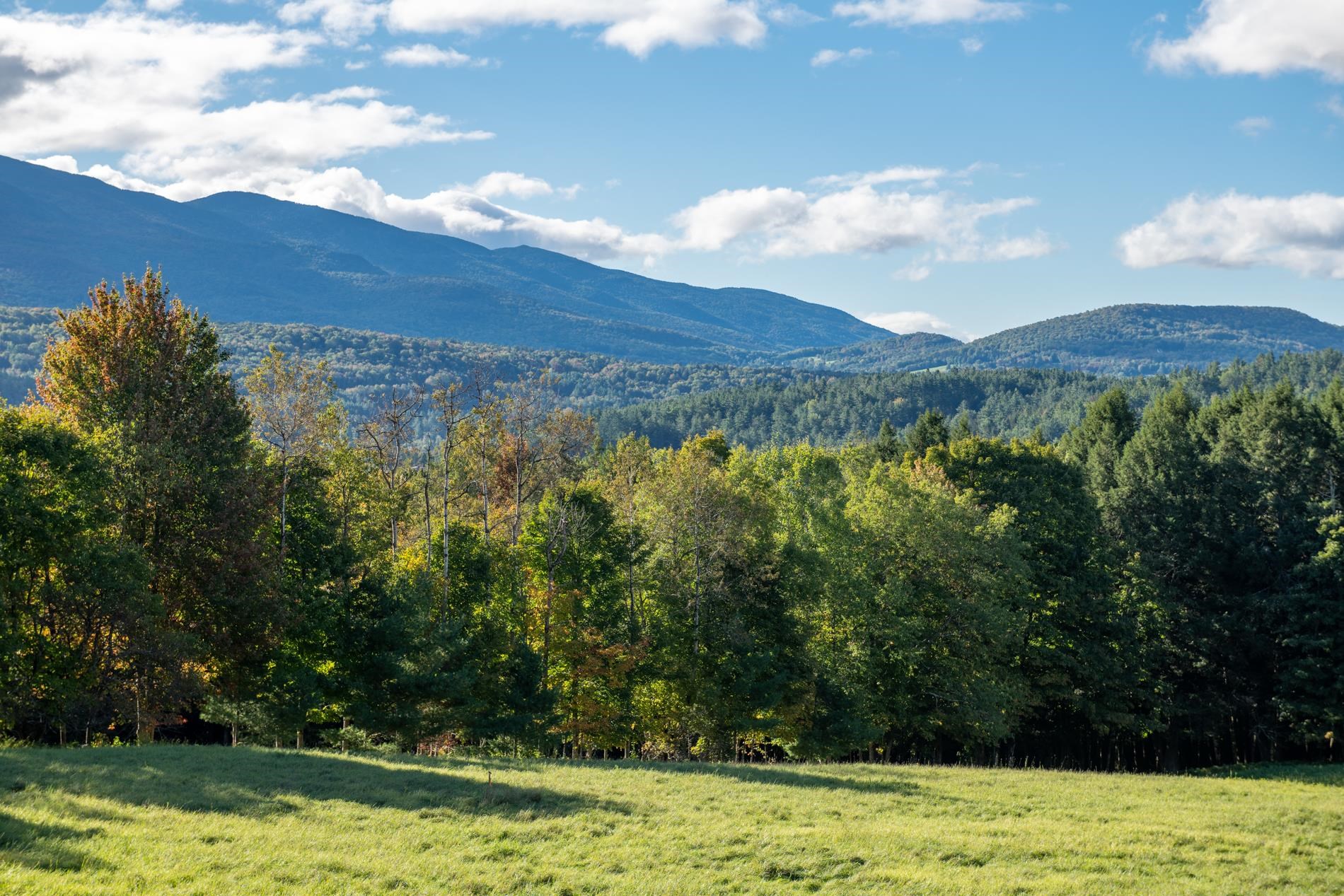 1025 Weeks Hill Road Stowe, VT 05672 - Photo 11 of 39