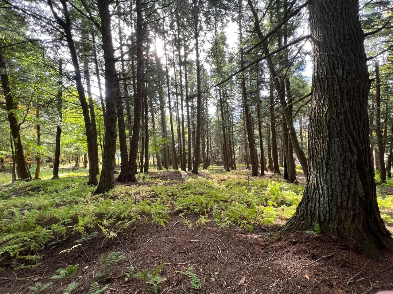 1025 Weeks Hill Road Stowe, VT 05672 - Photo 28 of 39