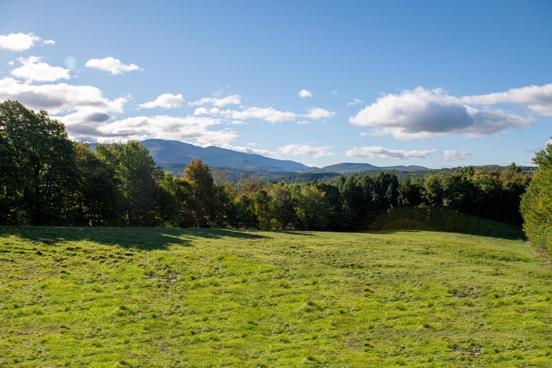 1025 Weeks Hill Road Stowe, VT 05672 - Photo 5 of 39