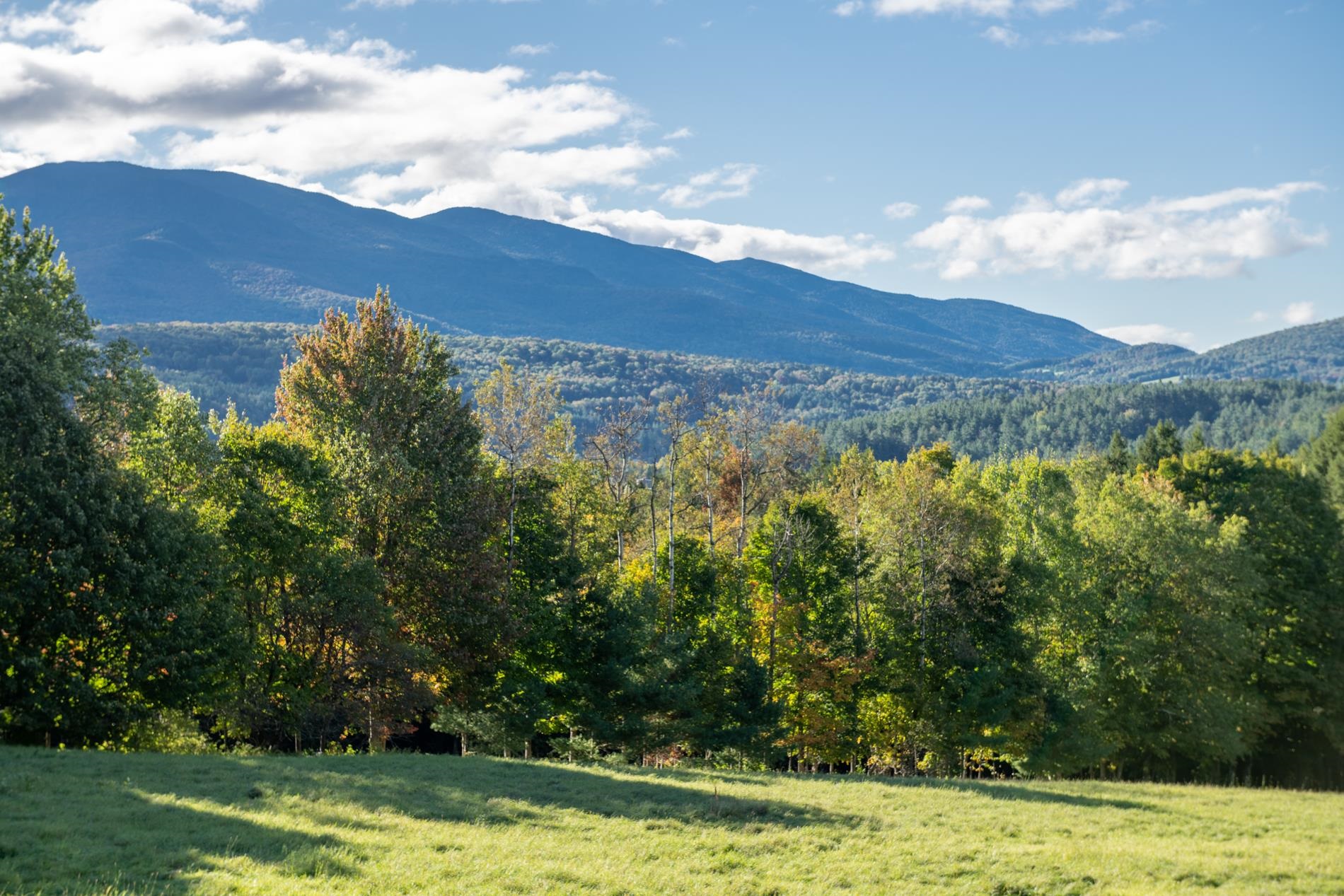 1025 Weeks Hill Road Stowe, VT 05672 - Photo 6 of 39