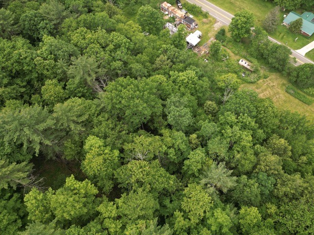 210 Mallory Road Chemung, NY 14825 - Photo 14 of 31