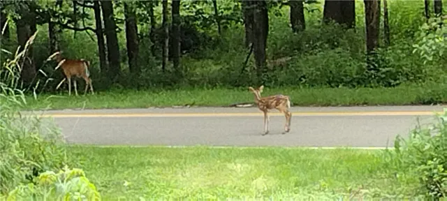 $35,000 | 210 Mallory Road, Chemung, NY 14825