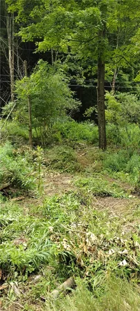 $30,000 | 210 Mallory Road, Chemung, NY 14825