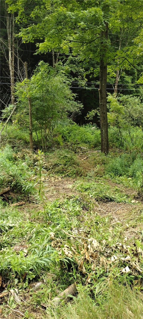 210 Mallory Road Chemung, NY 14825 - Photo 17 of 31