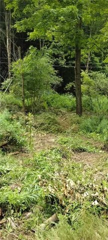 $35,000 | 210 Mallory Road, Chemung, NY 14825