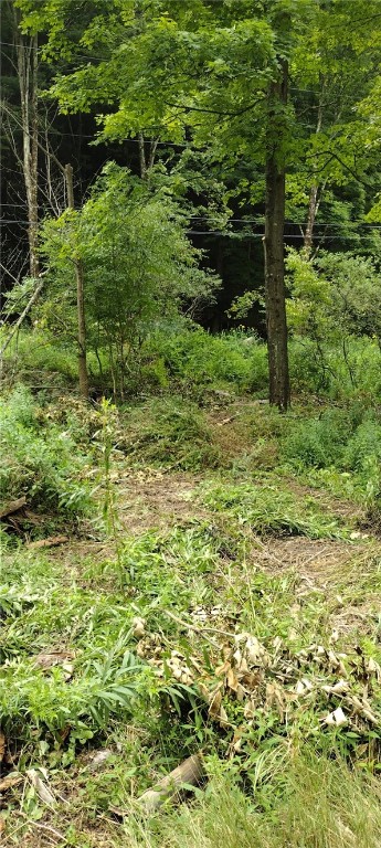 210 Mallory Road Chemung, NY 14825 - Photo 17 of 31