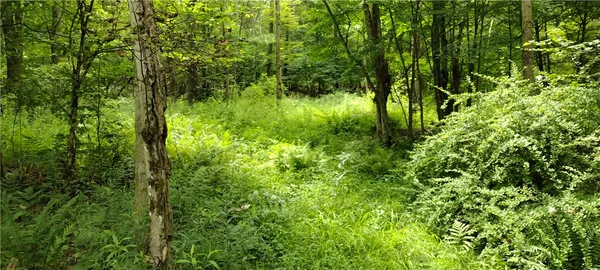 $30,000 | 210 Mallory Road, Chemung, NY 14825