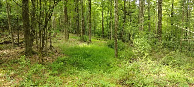 $35,000 | 210 Mallory Road, Chemung, NY 14825