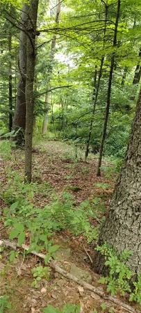 $30,000 | 210 Mallory Road, Chemung, NY 14825