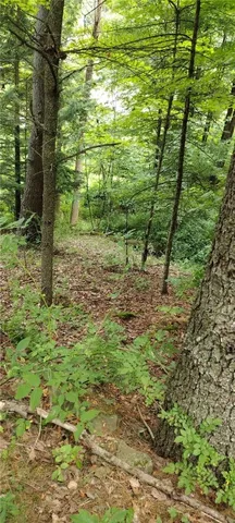 $35,000 | 210 Mallory Road, Chemung, NY 14825