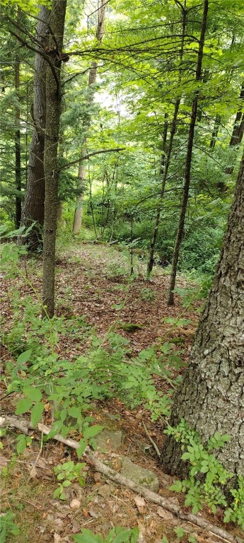 210 Mallory Road Chemung, NY 14825 - Photo 20 of 31