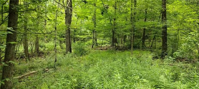 $35,000 | 210 Mallory Road, Chemung, NY 14825