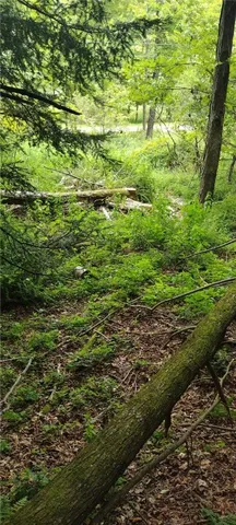 $35,000 | 210 Mallory Road, Chemung, NY 14825