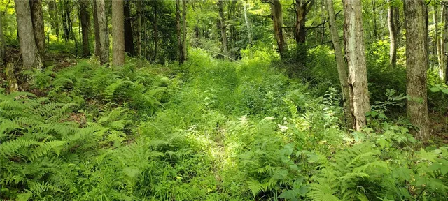 $35,000 | 210 Mallory Road, Chemung, NY 14825