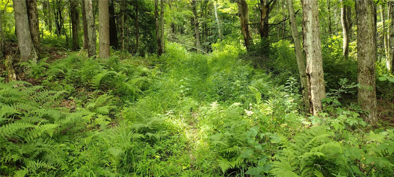 210 Mallory Road Chemung, NY 14825 - Photo 25 of 31