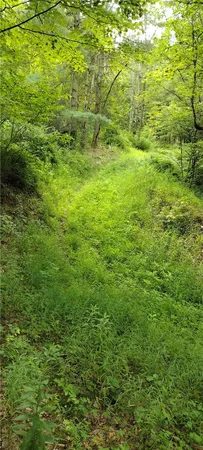 $30,000 | 210 Mallory Road, Chemung, NY 14825