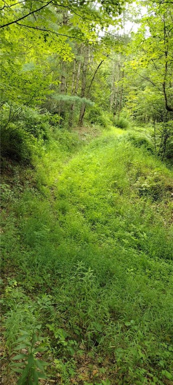 210 Mallory Road Chemung, NY 14825 - Photo 26 of 31