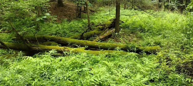 $35,000 | 210 Mallory Road, Chemung, NY 14825