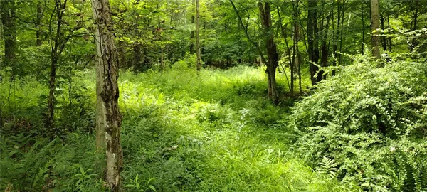 $30,000 | 210 Mallory Road, Chemung, NY 14825