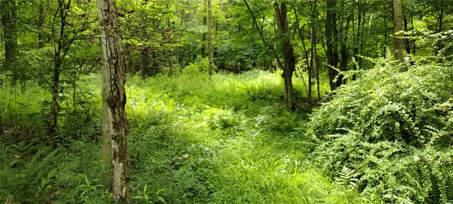 $35,000 | 210 Mallory Road, Chemung, NY 14825