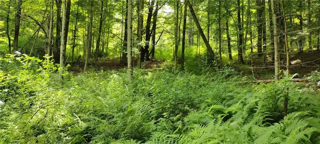 $35,000 | 210 Mallory Road, Chemung, NY 14825