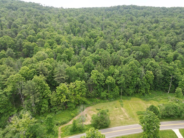 210 Mallory Road Chemung, NY 14825 - Photo 4 of 31