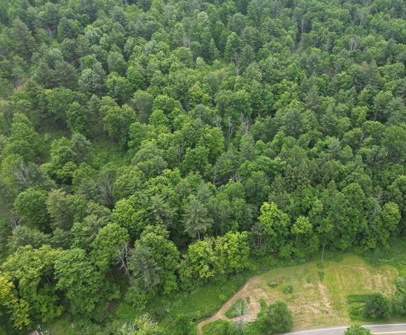 210 Mallory Road Chemung, NY 14825 - Photo 6 of 31