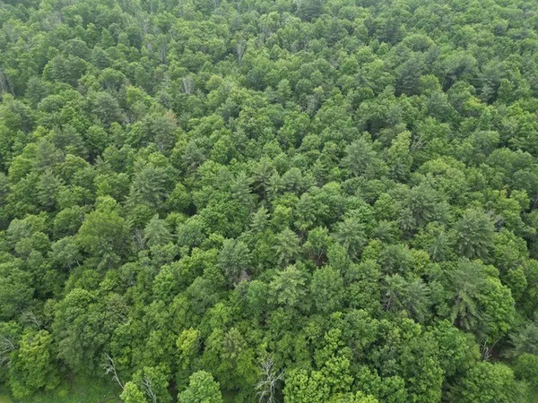 $30,000 | 210 Mallory Road, Chemung, NY 14825