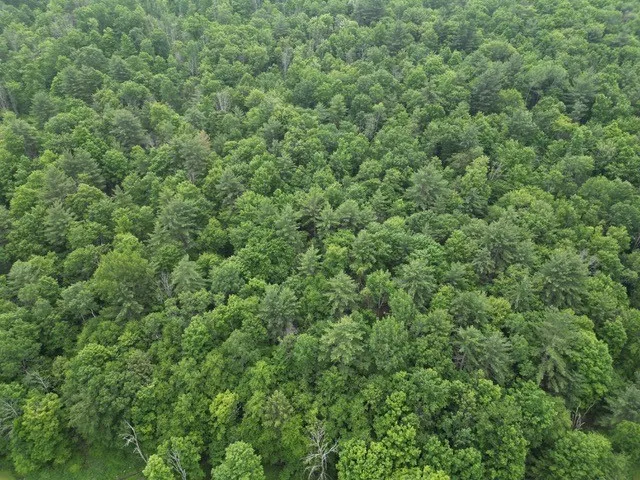 $35,000 | 210 Mallory Road, Chemung, NY 14825