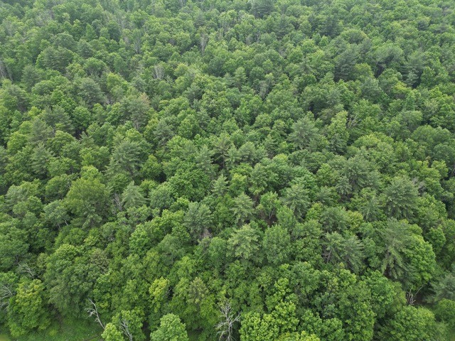 210 Mallory Road Chemung, NY 14825 - Photo 7 of 31