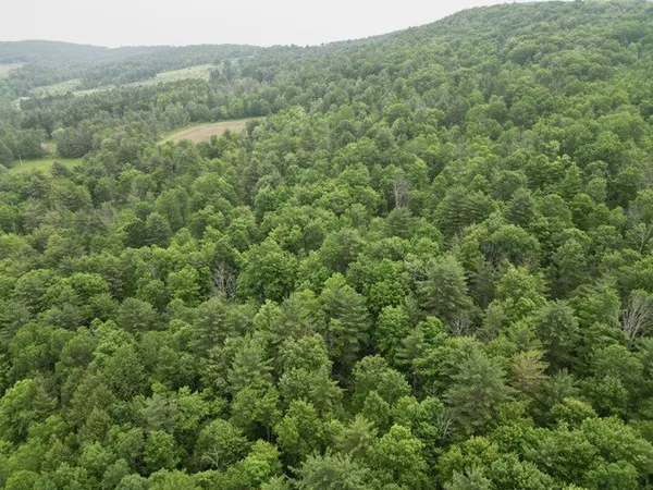 $30,000 | 210 Mallory Road, Chemung, NY 14825