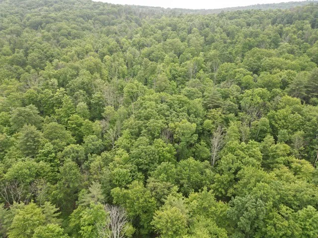 $35,000 | 210 Mallory Road, Chemung, NY 14825