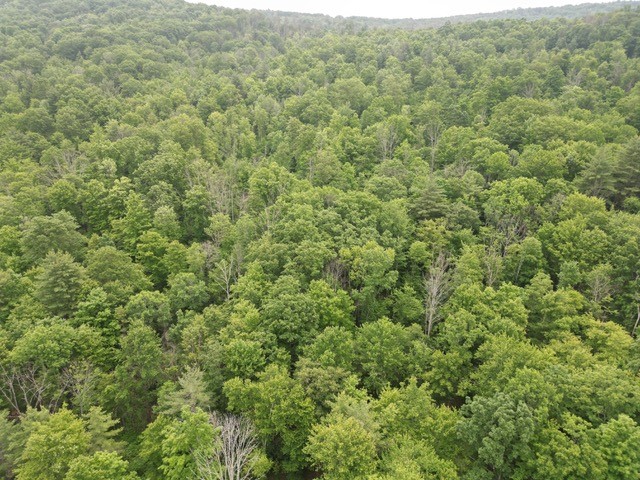 210 Mallory Road Chemung, NY 14825 - Photo 9 of 31