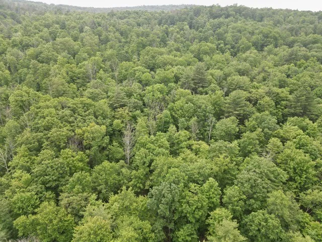 $35,000 | 210 Mallory Road, Chemung, NY 14825