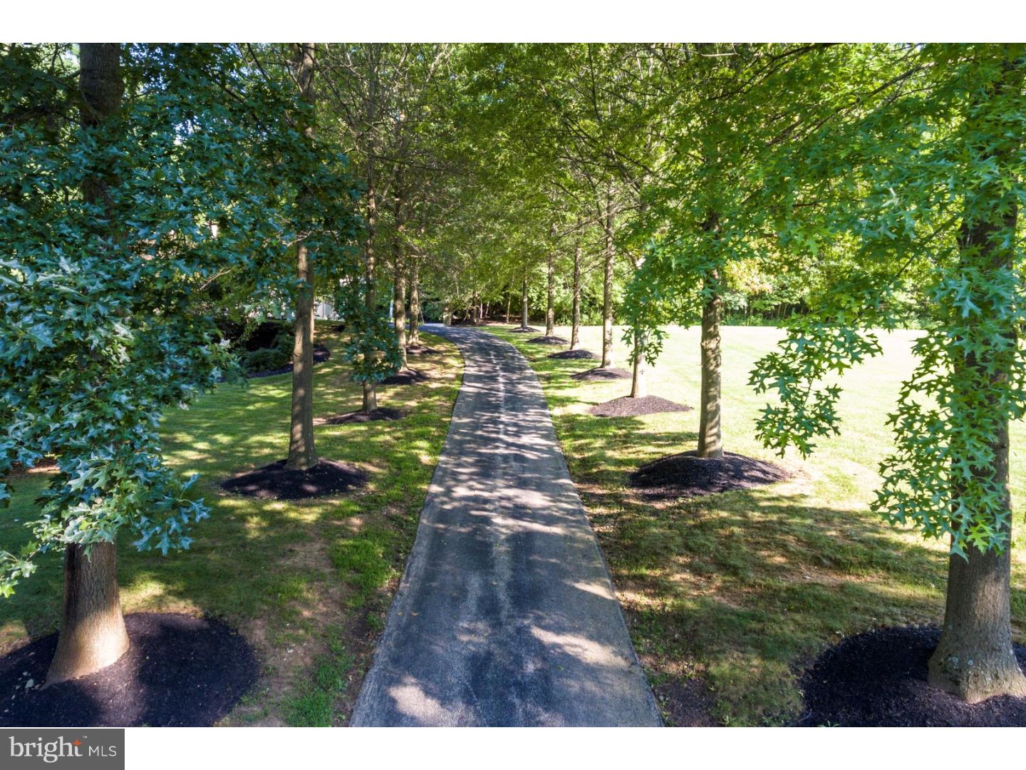 548 Merlin Road Phoenixville, PA 19460 - Photo 3 of 25 Driveway