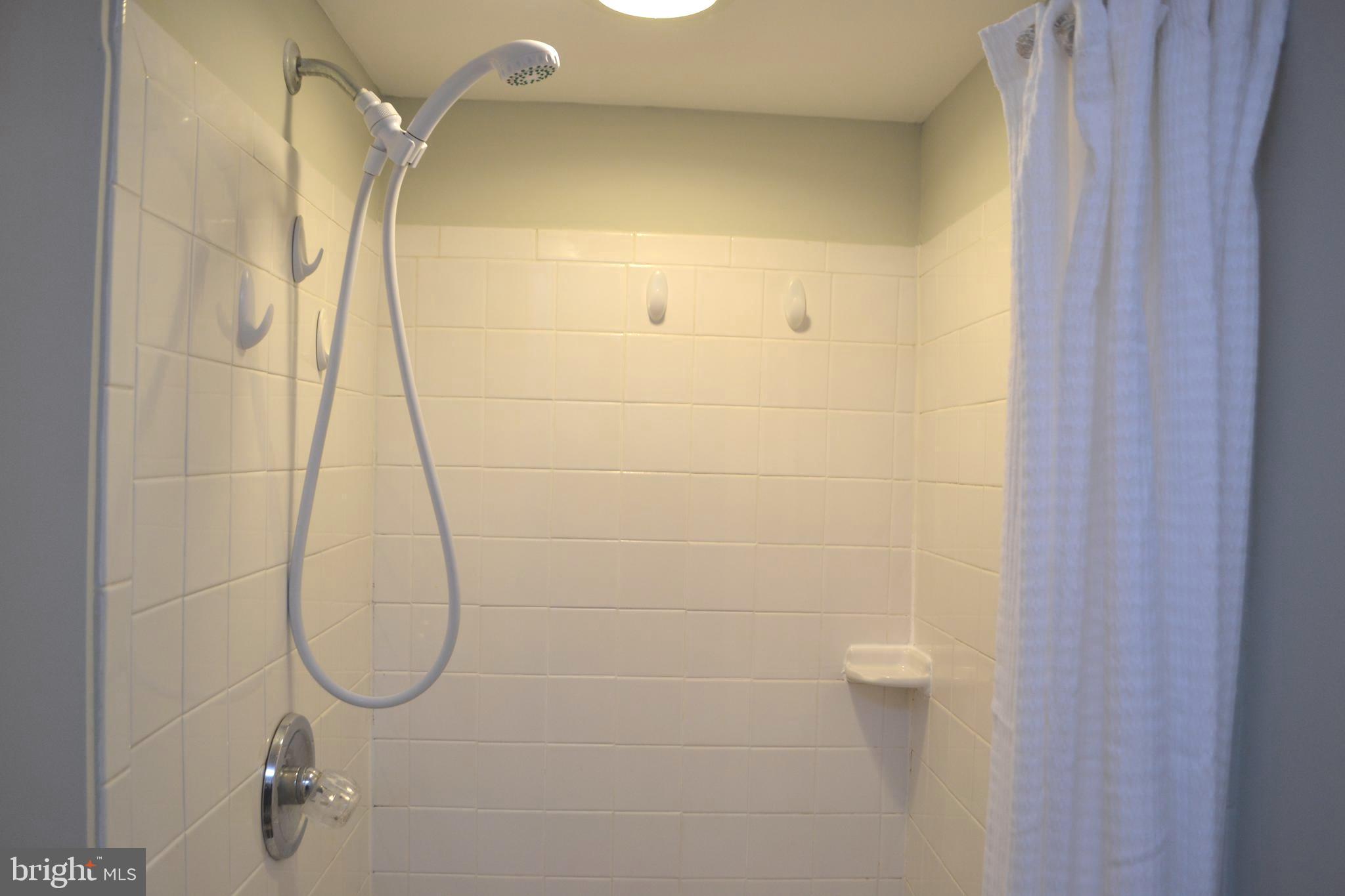 8019 Waterview Court Frederick, MD 21701 - Photo 42 of 56 Lower level Full Bath Shower