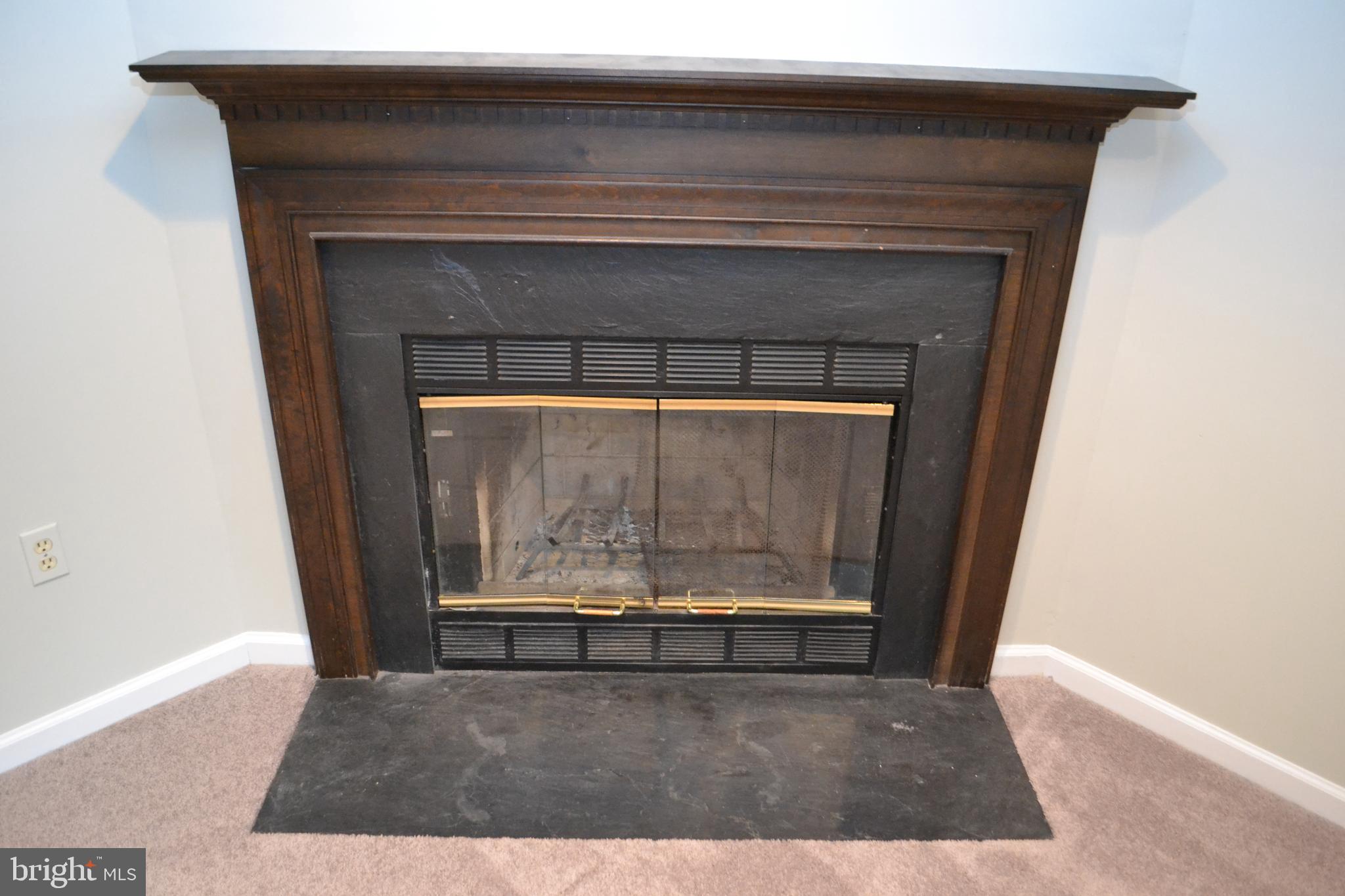 8019 Waterview Court Frederick, MD 21701 - Photo 50 of 56 Wood Burning Fireplace