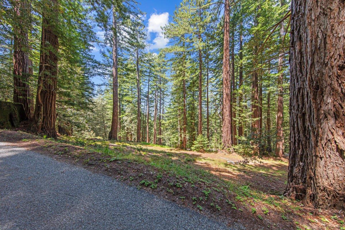0 Native Sons Road Redwood City, CA 94062 - Photo 18 of 28