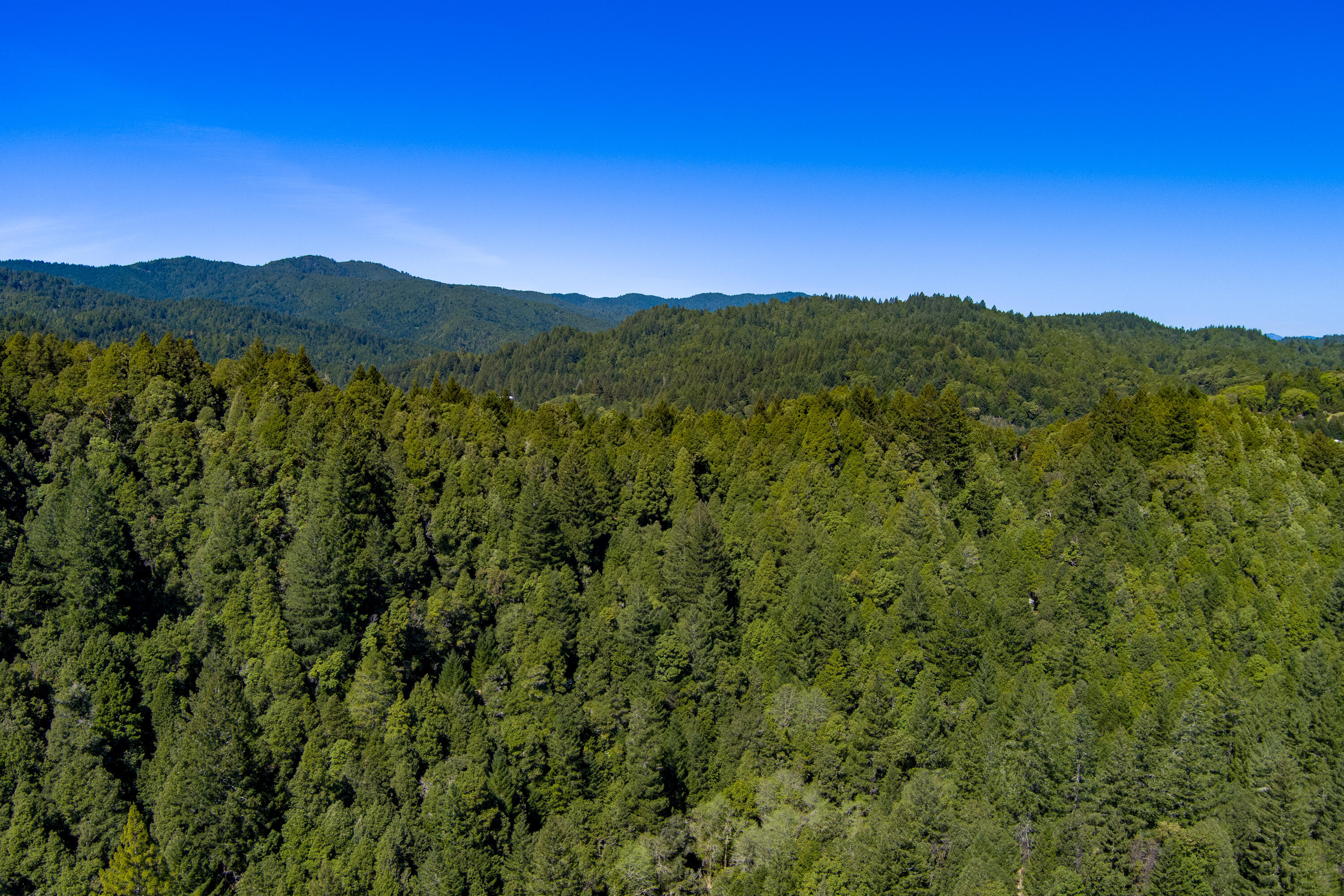 290 Green House Road Whitethorn, CA 95589 - Photo 5 of 73