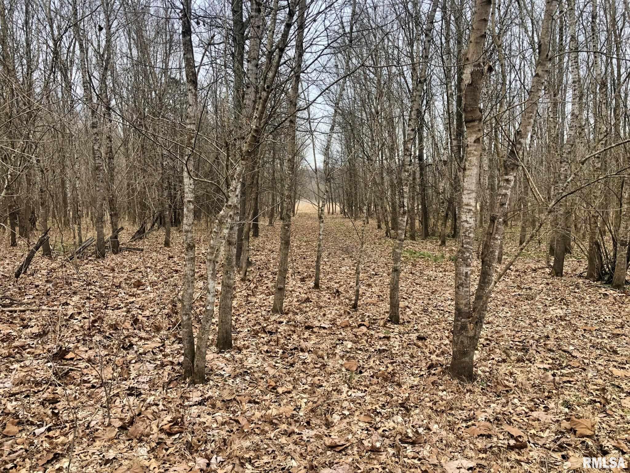 250 Reevesville Road Vienna, IL 62995 - Photo 1 of 10