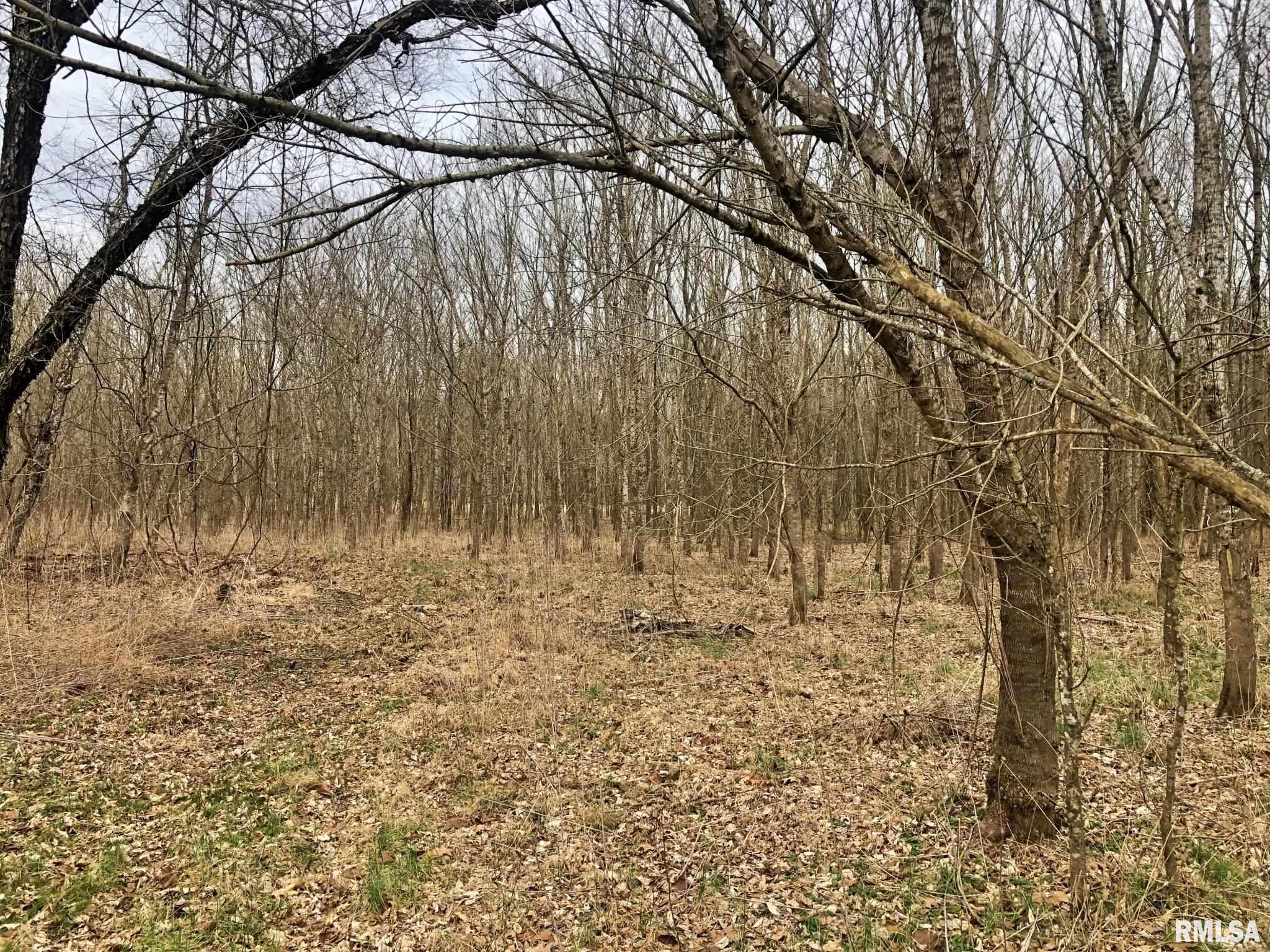 250 Reevesville Road Vienna, IL 62995 - Photo 3 of 10