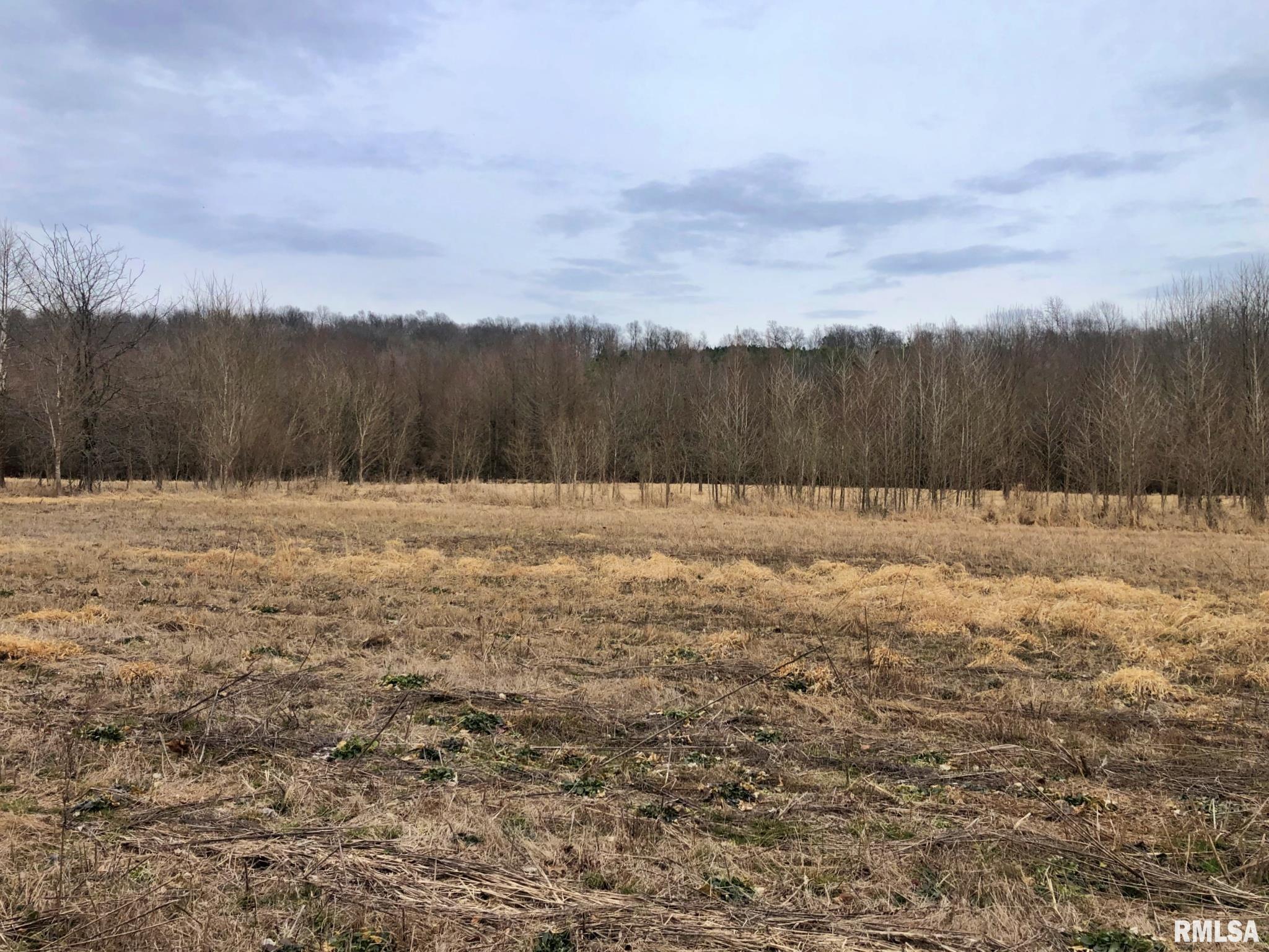 250 Reevesville Road Vienna, IL 62995 - Photo 4 of 10