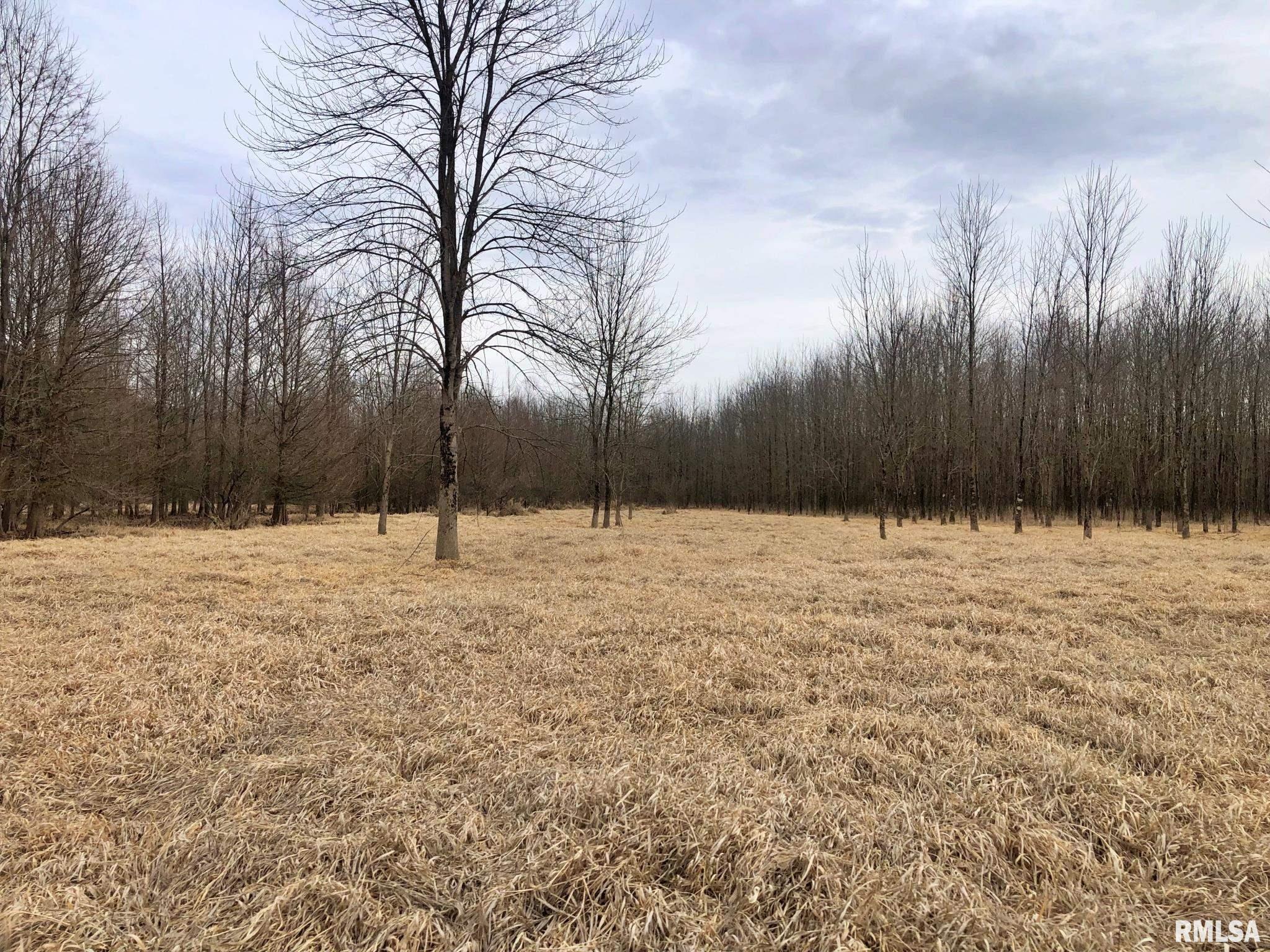 250 Reevesville Road Vienna, IL 62995 - Photo 5 of 10