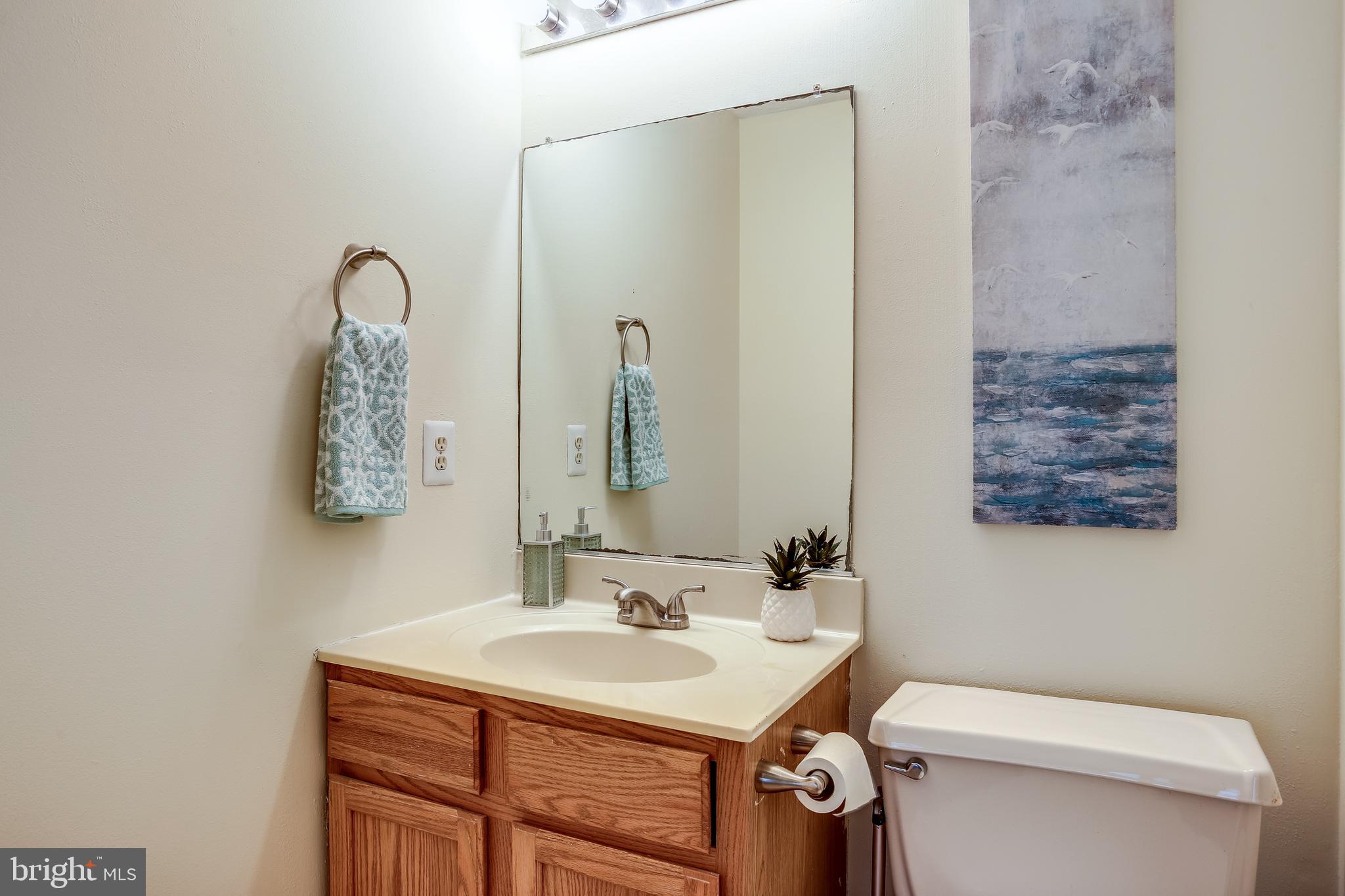 2025 Riding Crop Way Windsor Mill, MD 21244 - Photo 22 of 31