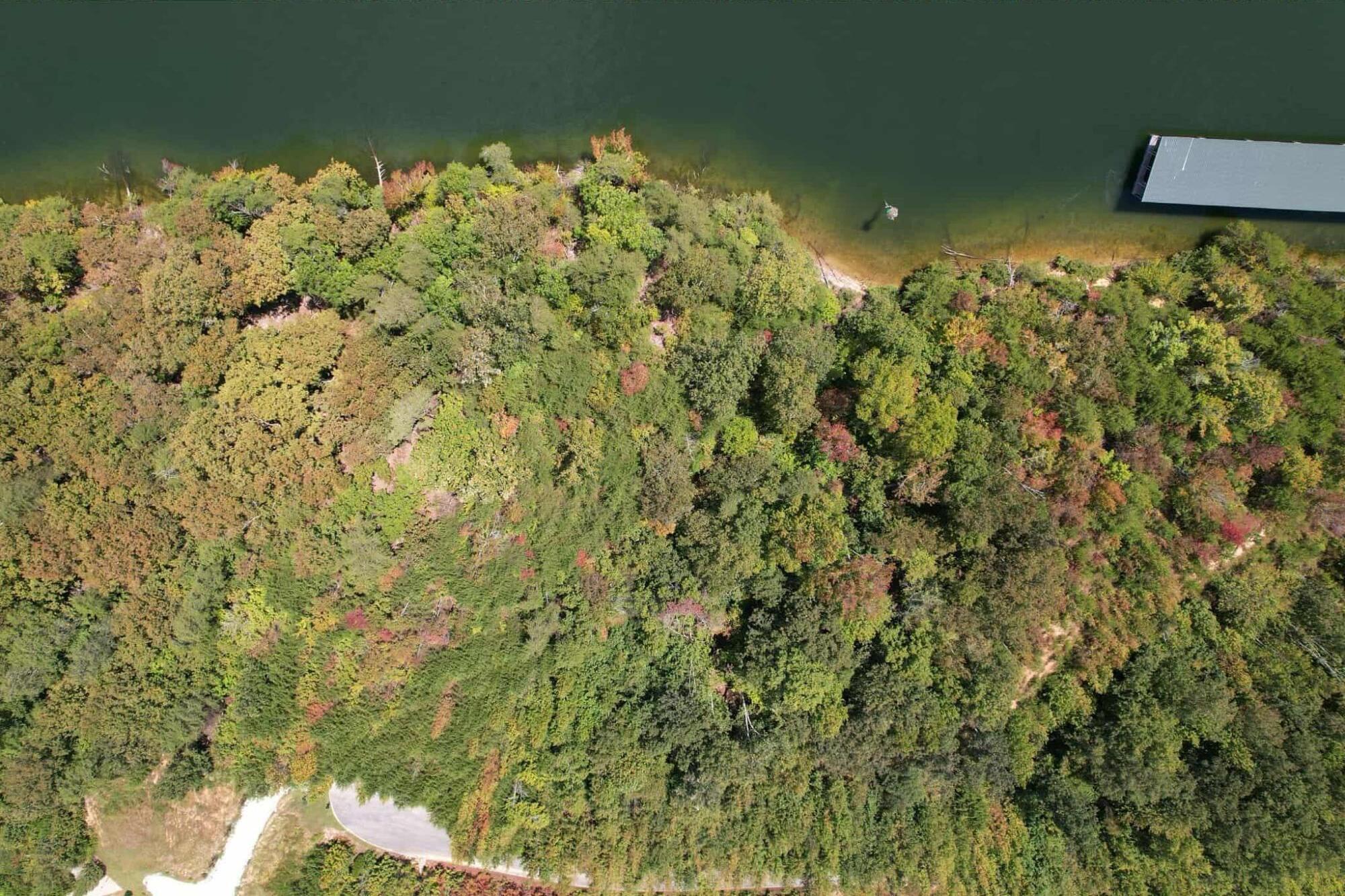 Lot 39 Waterside Way Spring Spring City, TN 37381 - Photo 18 of 29 att.ndHJdfo4q22v9SnPUeIZPb2jkUik6Dm1X0QB