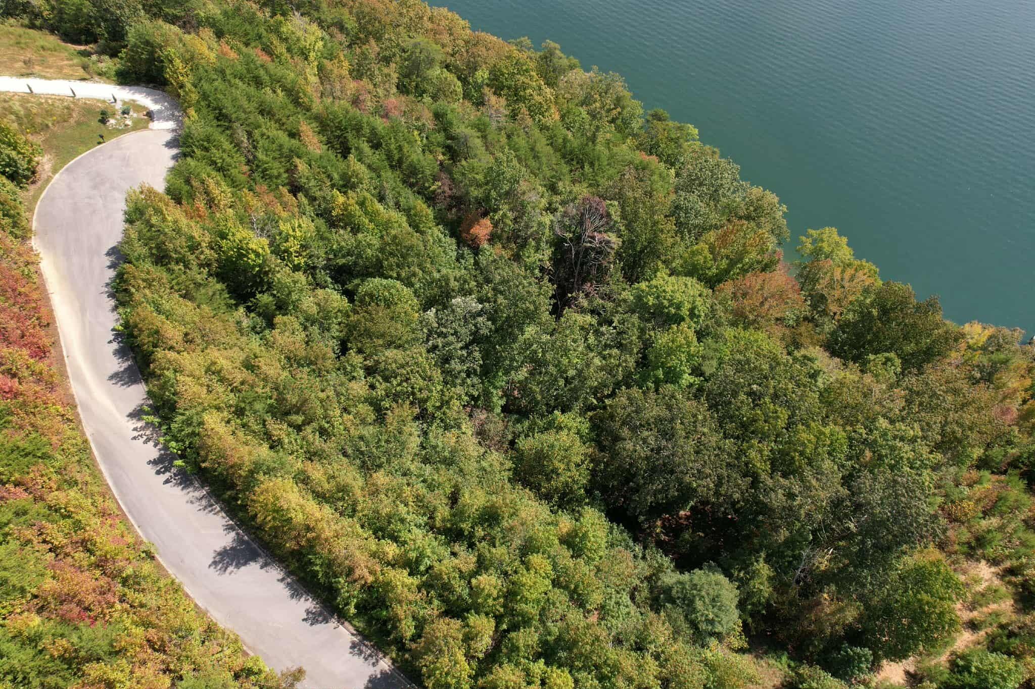 Lot 39 Waterside Way Spring Spring City, TN 37381 - Photo 3 of 29 att.3eZrbXZ9p5QKXHV_7QhGjoV9iaTncKR_0V6s