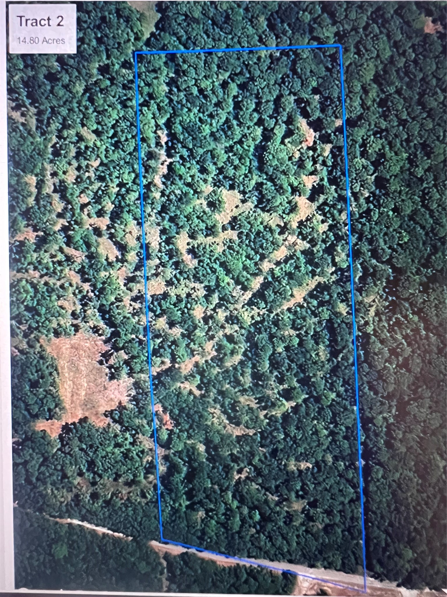 0 Hardy Bottom Road Huntsville, TX 77340 - Photo 5 of 5